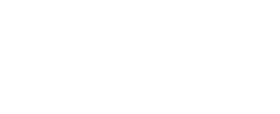 Go Bravo